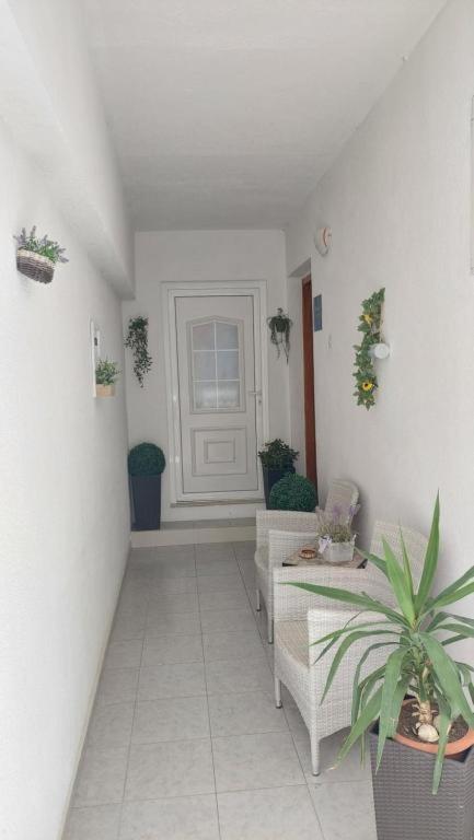 Apartments Mestral Baška Voda Exterior foto